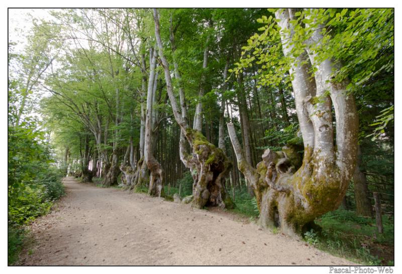 #Pascal-Photo-Web #Saint-Nicolas de Biefs #Paysage #Allier #France #campagne #Puy-de-D�me #patrimoine #touristique #village