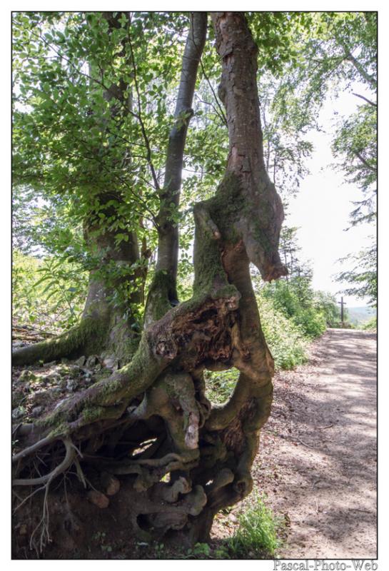 #Pascal-Photo-Web #Saint-Nicolas de Biefs #Paysage #Allier #France #campagne #Puy-de-D�me #patrimoine #touristique #village