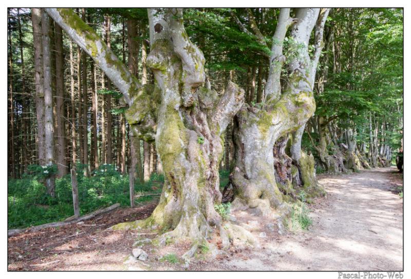 #Pascal-Photo-Web #Saint-Nicolas de Biefs #Paysage #Allier #France #campagne #Puy-de-D�me #patrimoine #touristique #village