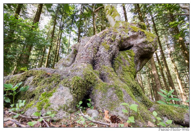 #Pascal-Photo-Web #Saint-Nicolas de Biefs #Paysage #Allier #France #campagne #Puy-de-D�me #patrimoine #touristique #village