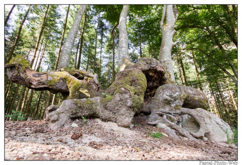 #Pascal-Photo-Web #Saint-Nicolas de Biefs #Paysage #Allier #France #campagne #Puy-de-D�me #patrimoine #touristique #village