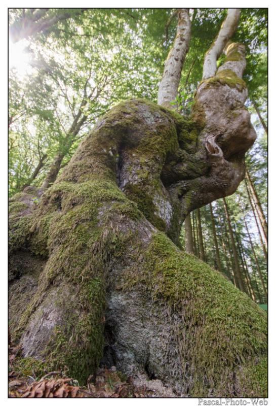 #Pascal-Photo-Web #Saint-Nicolas de Biefs #Paysage #Allier #France #campagne #Puy-de-D�me #patrimoine #touristique #village