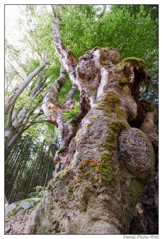 #Pascal-Photo-Web #Saint-Nicolas de Biefs #Paysage #Allier #France #campagne #Puy-de-D�me #patrimoine #touristique #village