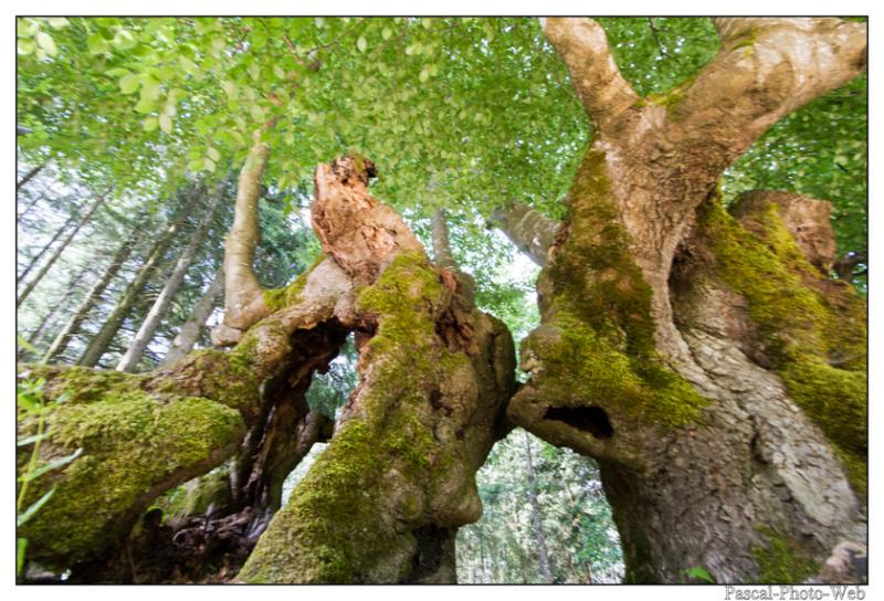 #Pascal-Photo-Web #Saint-Nicolas de Biefs #Paysage #Allier #France #campagne #Puy-de-D�me #patrimoine #touristique #village