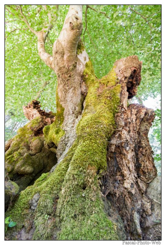 #Pascal-Photo-Web #Saint-Nicolas de Biefs #Paysage #Allier #France #campagne #Puy-de-D�me #patrimoine #touristique #village