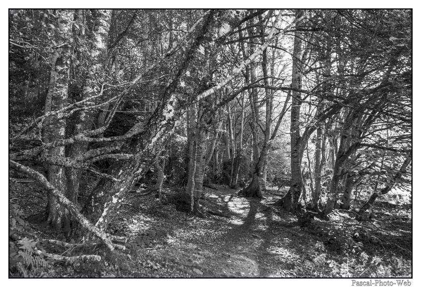 #Pascal-Photo-Web #p�che #Paysage #Ari�ge #France #campagne #Occitanie #patrimoine #touristique #village montagne #sud #ouest