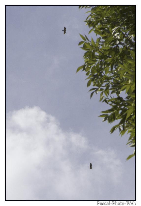 #Pascal-Photo-Web #chateau-verdun #Paysage #Ari�ge #France #campagne #Occitanie #patrimoine #touristique #village montagne #sud #ouest