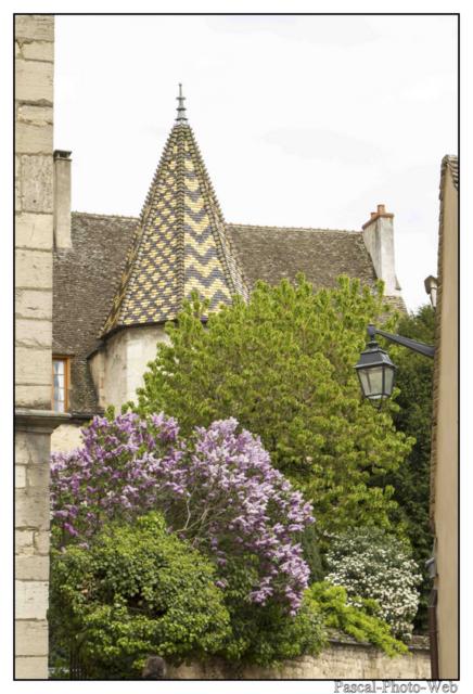 #Pascal-Photo-Web #Bourgogne-Franche-Comt� #Paysage #c�ted'or #France #patrimoine #touristique #21 #Beaune