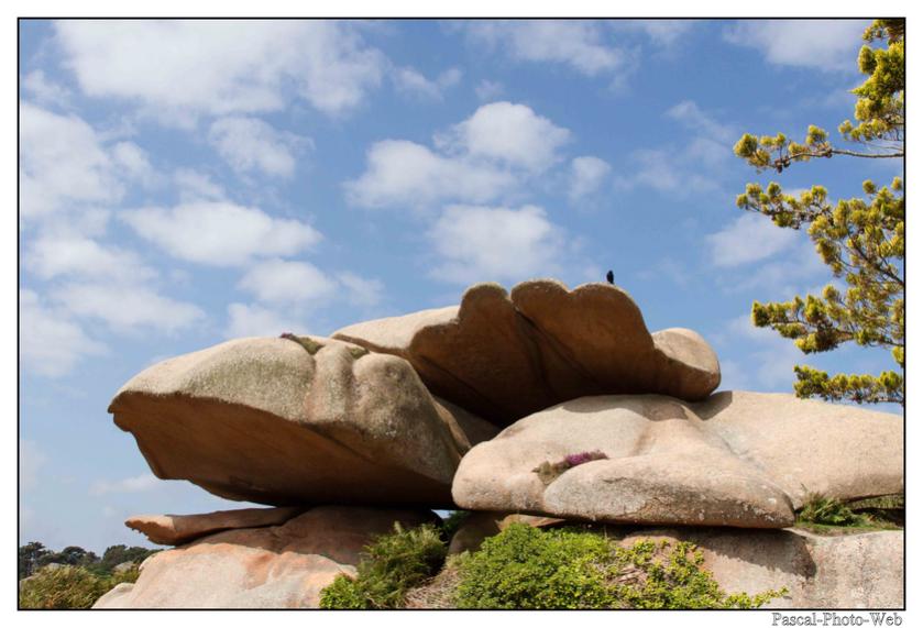 #Pascal-Photo-Web #bretagne #Paysage #Cotesd'armor #France #patrimoine #touristique #22 #ile #renote