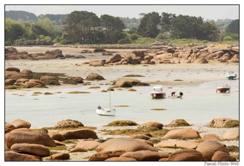 #Pascal-Photo-Web #bretagne #Paysage #Cotesd'armor #France #patrimoine #touristique #22 #ile #renote