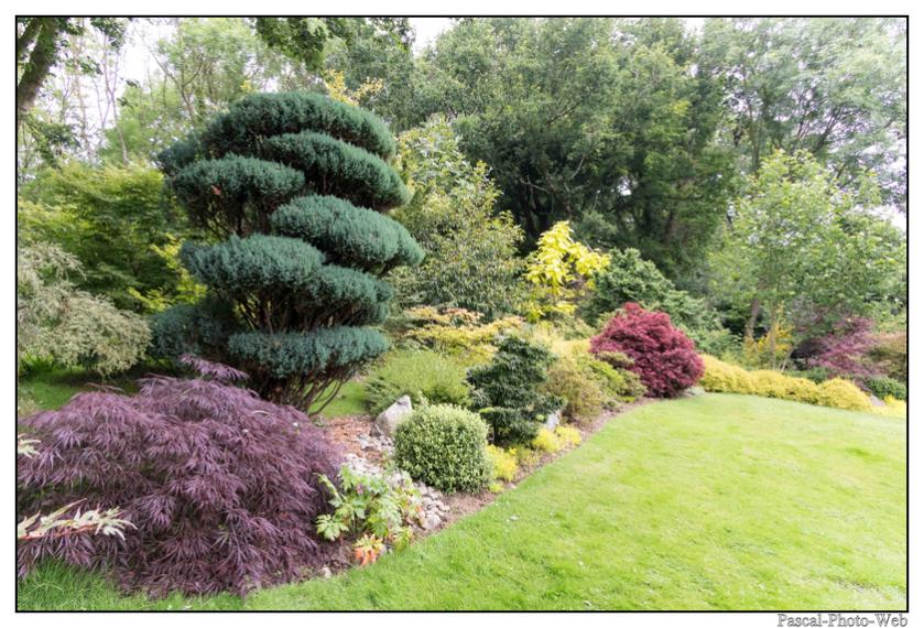 #Pascal-Photo-Web #bretagne #Paysage #Cotesd'armor #France #patrimoine #touristique #22 #pl�venon