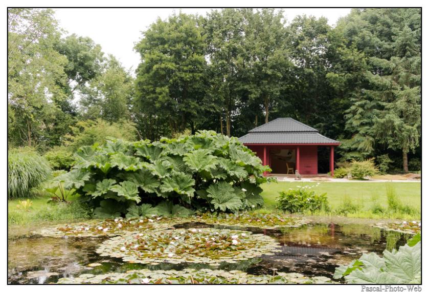 #Pascal-Photo-Web #bretagne #Paysage #Cotesd'armor #France #patrimoine #touristique #22 #pl�venon