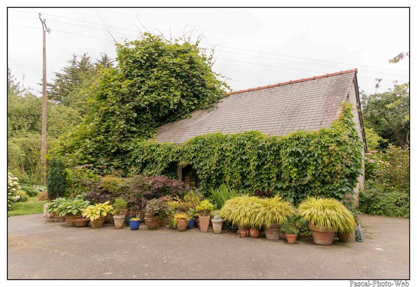 #Pascal-Photo-Web #bretagne #Paysage #Cotesd'armor #France #patrimoine #touristique #22 #pl�venon