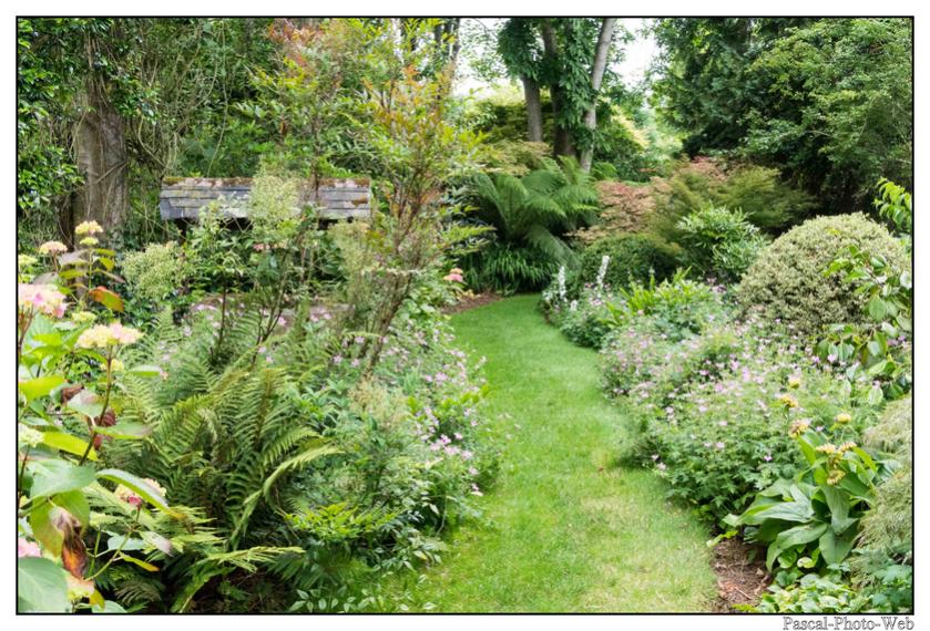 #Pascal-Photo-Web #bretagne #Paysage #Cotesd'armor #France #patrimoine #touristique #22 #pl�venon