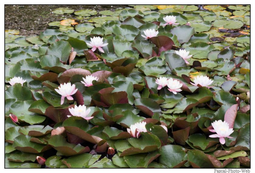 #Pascal-Photo-Web #bretagne #Paysage #Cotesd'armor #France #patrimoine #touristique #22 #pl�venon