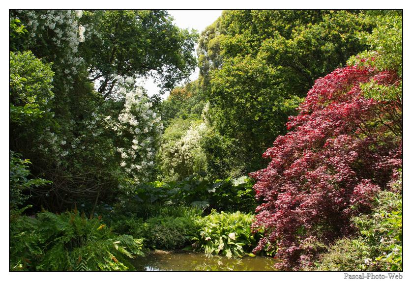 #Pascal-Photo-Web #bretagne #Paysage #Cotesd'armor #France #patrimoine #touristique #22 #jardin #kerdalo