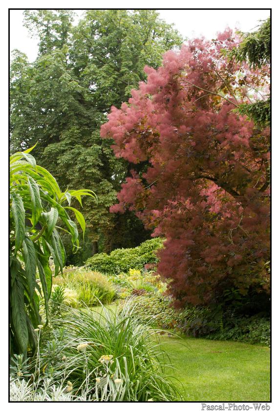 #Pascal-Photo-Web #bretagne #Paysage #Cotesd'armor #France #patrimoine #touristique #22 #jardin #kerdalo