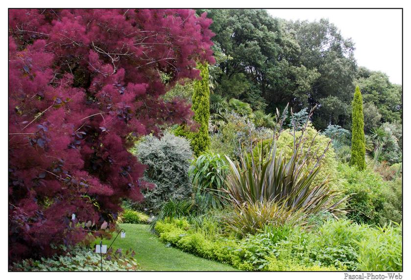 #Pascal-Photo-Web #bretagne #Paysage #Cotesd'armor #France #patrimoine #touristique #22 #jardin #kerdalo