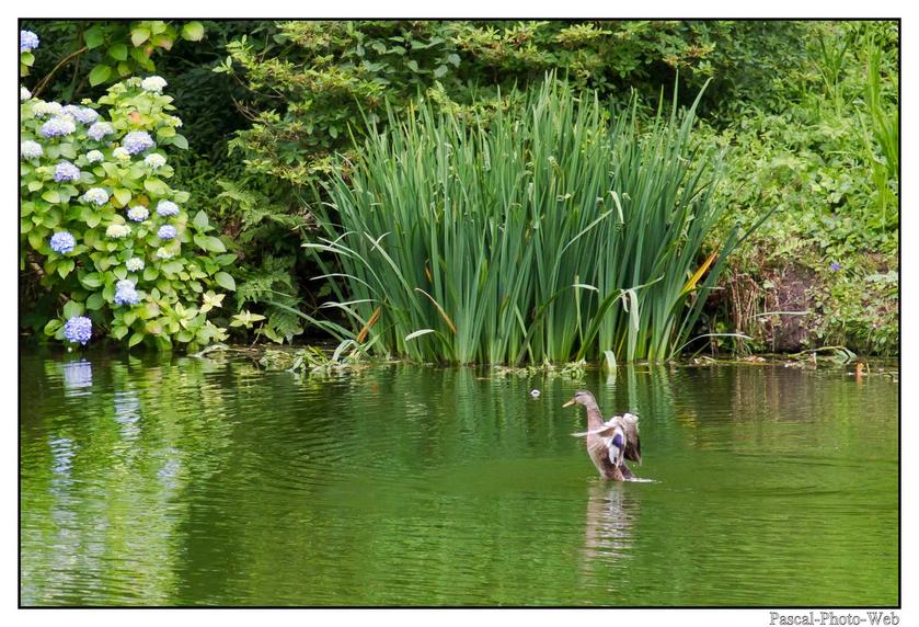 #Pascal-Photo-Web #bretagne #Paysage #Cotesd'armor #France #patrimoine #touristique #22 #jardin #kerdalo
