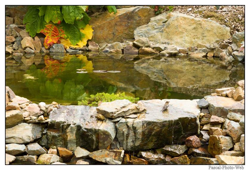 #Pascal-Photo-Web #bretagne #Paysage #Cotesd'armor #France #patrimoine #touristique #22 #jardin #kerfouler