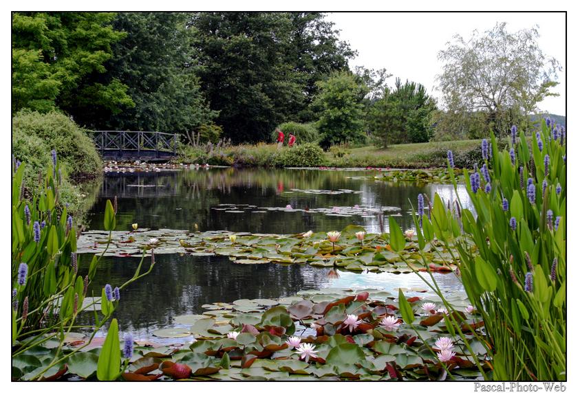 #Pascal-Photo-Web #photo #nouvelle-aquitaine #dordogne #paysage #les-jardins-d'eau #france #24 #sud #ouest #carsac-aillac