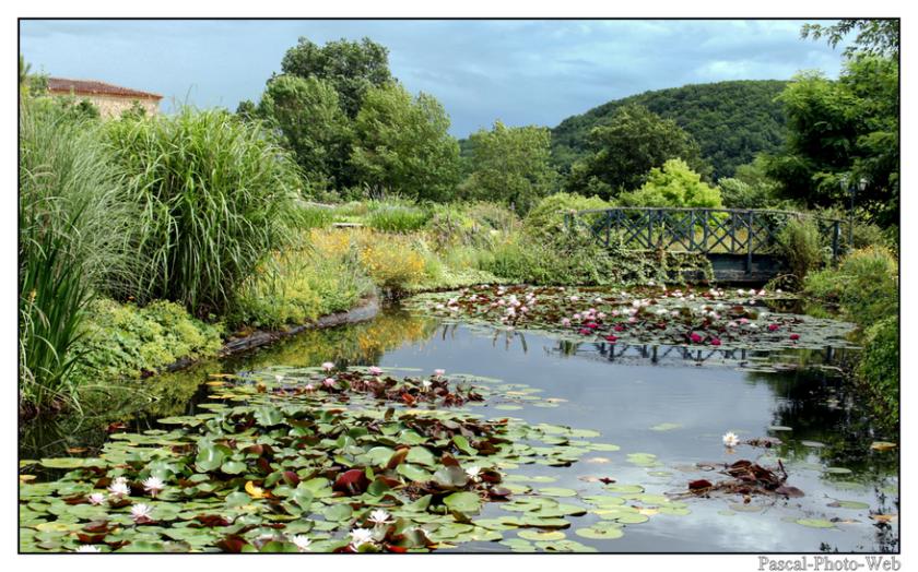 #Pascal-Photo-Web #photo #nouvelle-aquitaine #dordogne #paysage #les-jardins-d'eau #france #24 #sud #ouest #carsac-aillac