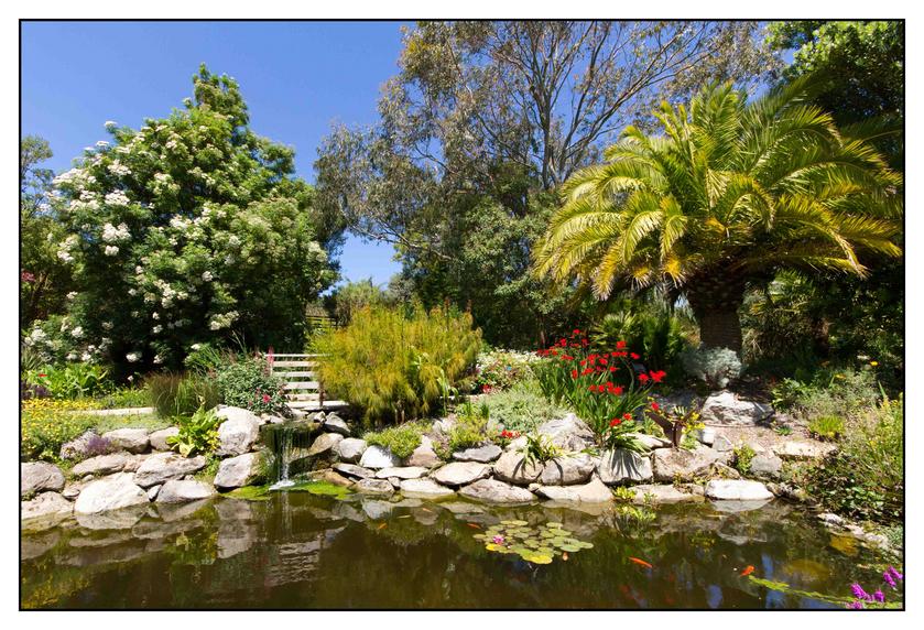 #Pascal-Photo-Web #bretagne #Paysage #Finister #France #patrimoine #touristique #29 #roscoff #jardin #exotique