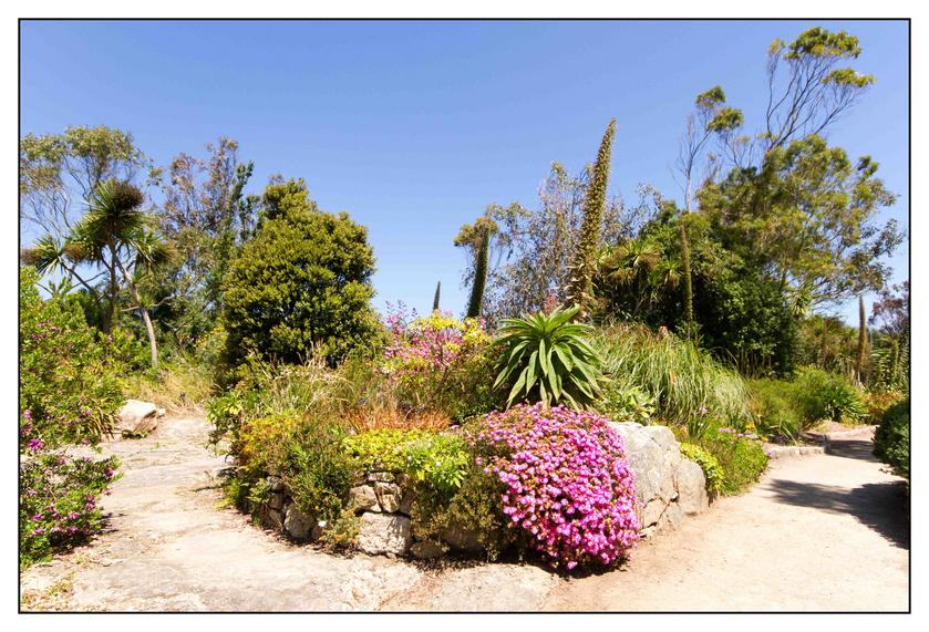 #Pascal-Photo-Web #bretagne #Paysage #Finister #France #patrimoine #touristique #29 #roscoff #jardin #exotique