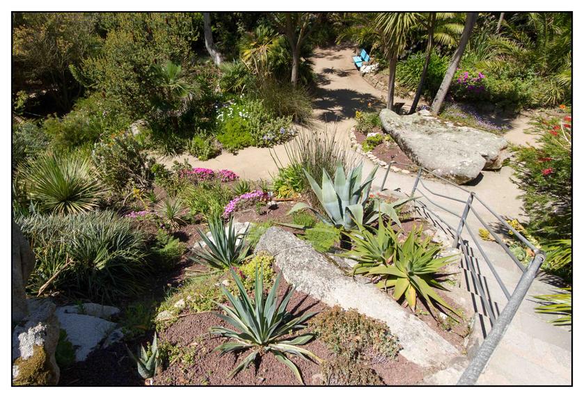 #Pascal-Photo-Web #bretagne #Paysage #Finister #France #patrimoine #touristique #29 #roscoff #jardin #exotique