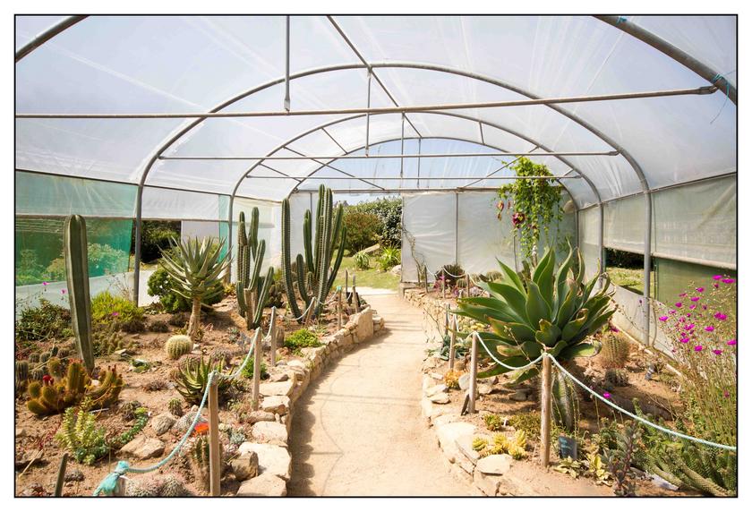 #Pascal-Photo-Web #bretagne #Paysage #Finister #France #patrimoine #touristique #29 #roscoff #jardin #exotique