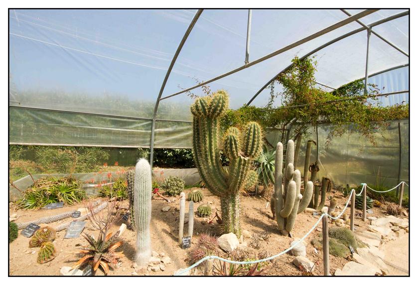 #Pascal-Photo-Web #bretagne #Paysage #Finister #France #patrimoine #touristique #29 #roscoff #jardin #exotique