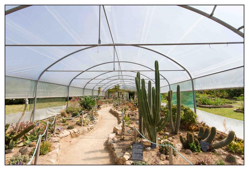 #Pascal-Photo-Web #bretagne #Paysage #Finister #France #patrimoine #touristique #29 #roscoff #jardin #exotique