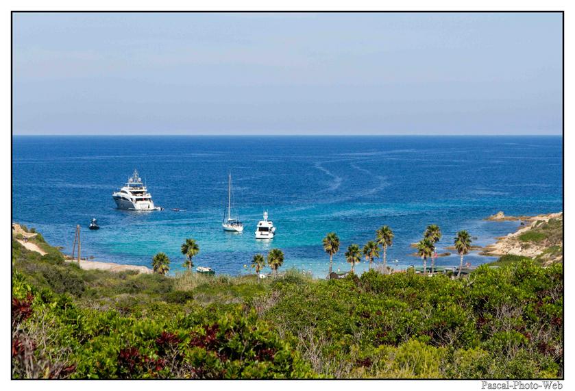#Pascal-Photo-Web #Corse #Paysage #hautecorse #France #patrimoine #touristique #2b #Revellata #plage