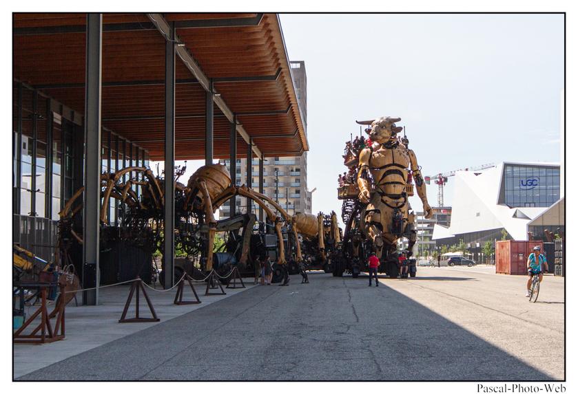 #Pascal-Photo-Web #photo #occitanie #hautegaronne #paysage #Toulouse #france #31 #sud #ouest