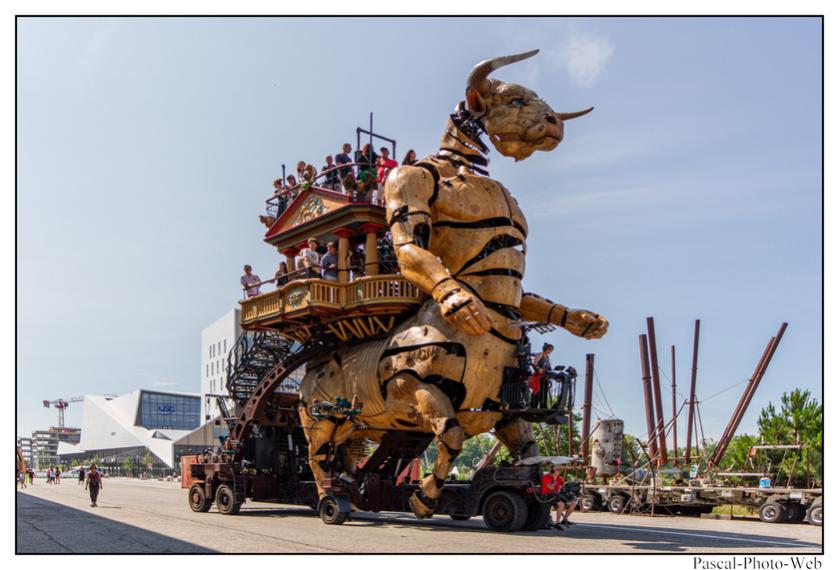 #Pascal-Photo-Web #photo #occitanie #hautegaronne #paysage #Toulouse #france #31 #sud #ouest