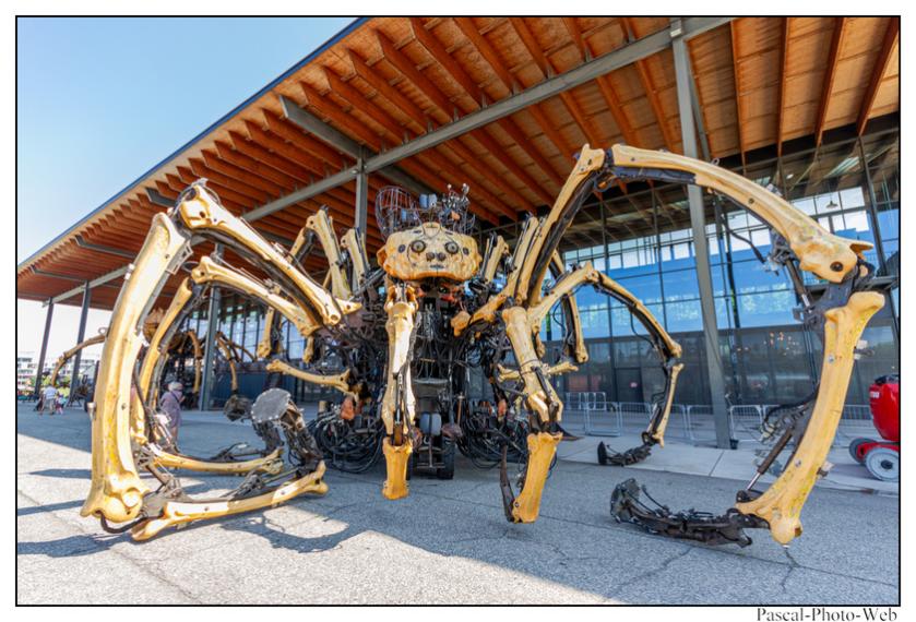 #Pascal-Photo-Web #photo #occitanie #hautegaronne #paysage #Toulouse #france #31 #sud #ouest