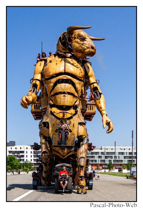 #Pascal-Photo-Web #photo #occitanie #hautegaronne #paysage #Toulouse #france #31 #sud #ouest