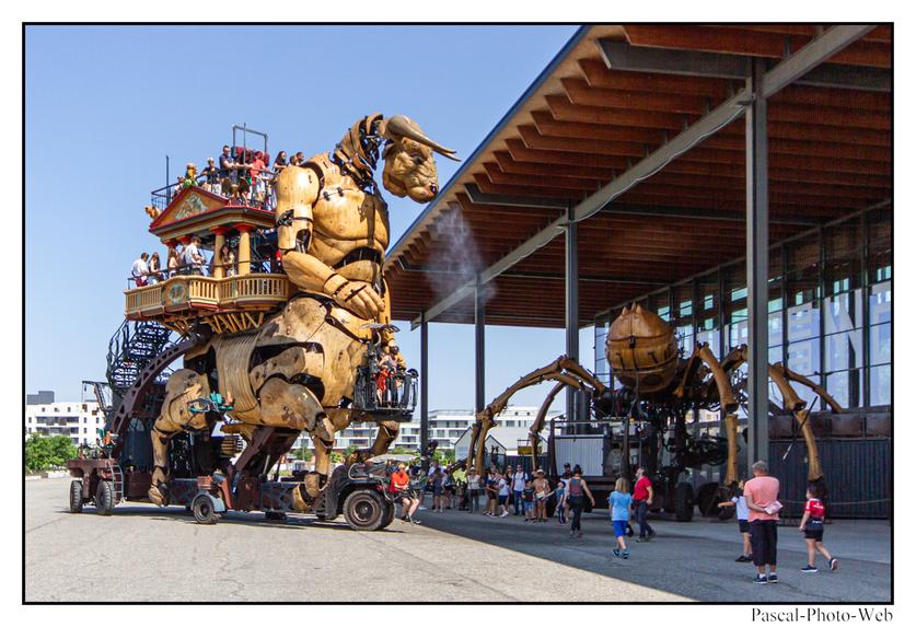 #Pascal-Photo-Web #photo #occitanie #hautegaronne #paysage #Toulouse #france #31 #sud #ouest