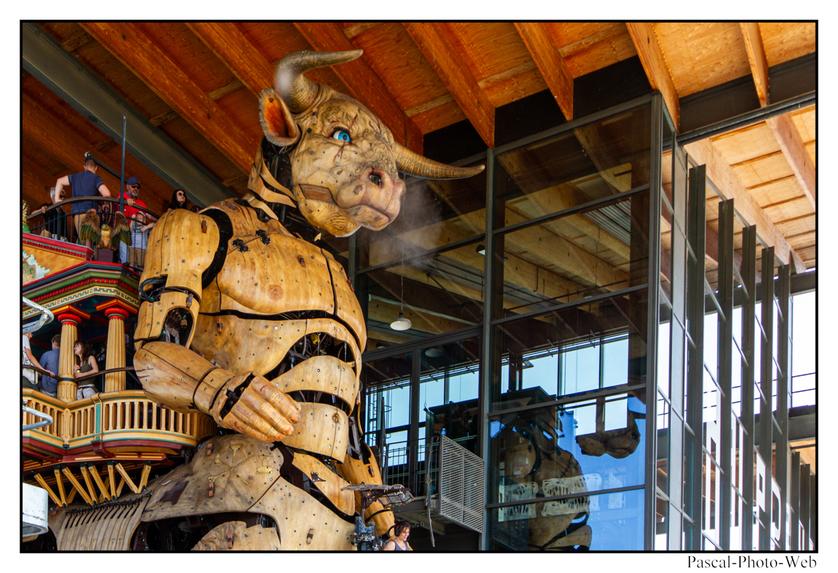 #Pascal-Photo-Web #photo #occitanie #hautegaronne #paysage #Toulouse #france #31 #sud #ouest