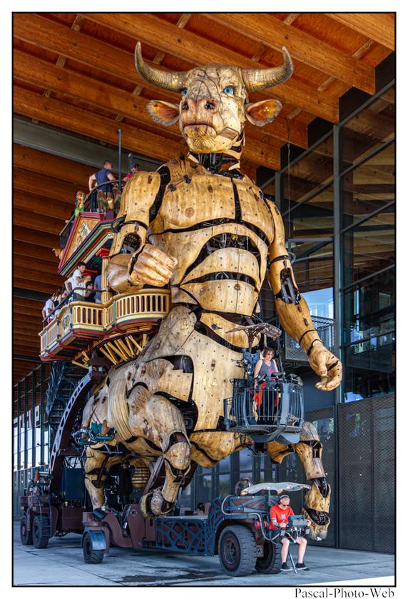 #Pascal-Photo-Web #photo #occitanie #hautegaronne #paysage #Toulouse #france #31 #sud #ouest