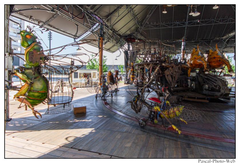 #Pascal-Photo-Web #photo #occitanie #hautegaronne #paysage #Toulouse #france #31 #sud #ouest