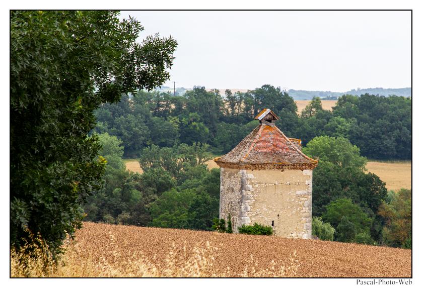 #sarrant #pascal-photo-web #gers #32 #france #sud #ouest #photo #montagne #paysage