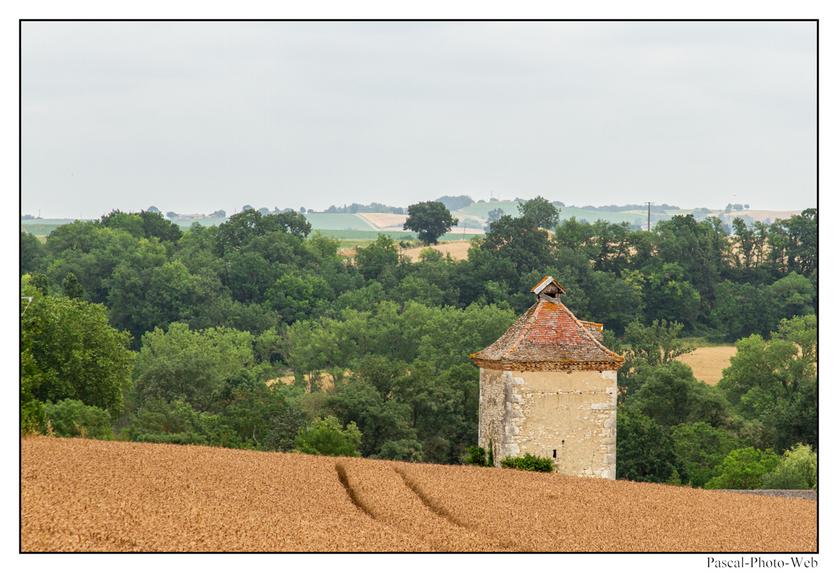 #sarrant #pascal-photo-web #gers #32 #france #sud #ouest #photo #montagne #paysage