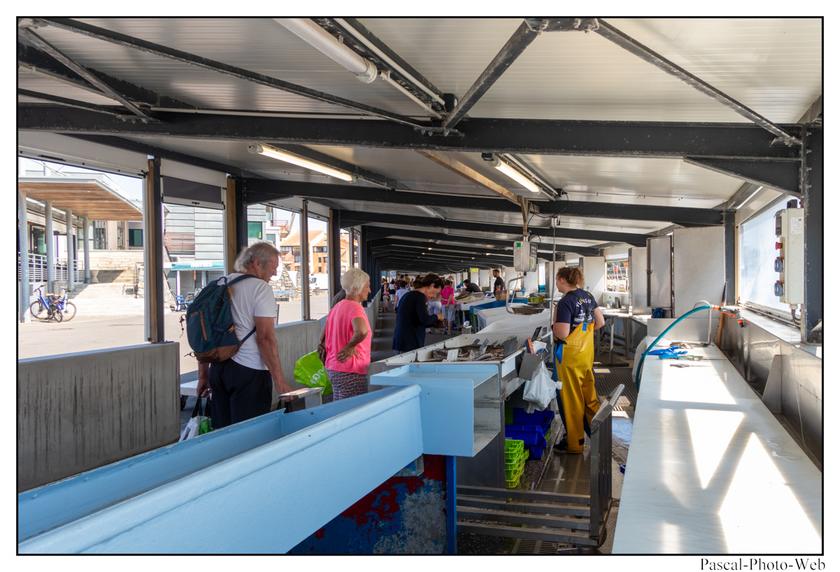 #Pascal-Photo-Web #nouvelle-aquitaine #Paysage #landes #France #patrimoine #touristique #40 #capbreton