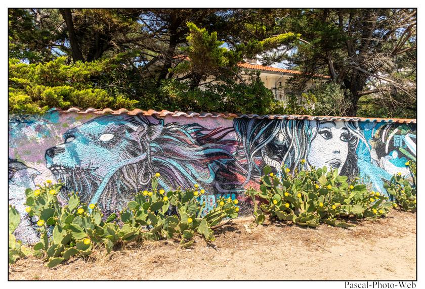 #Pascal-Photo-Web #nouvelle-aquitaine #Paysage #landes #France #patrimoine #touristique #40 #hossegor