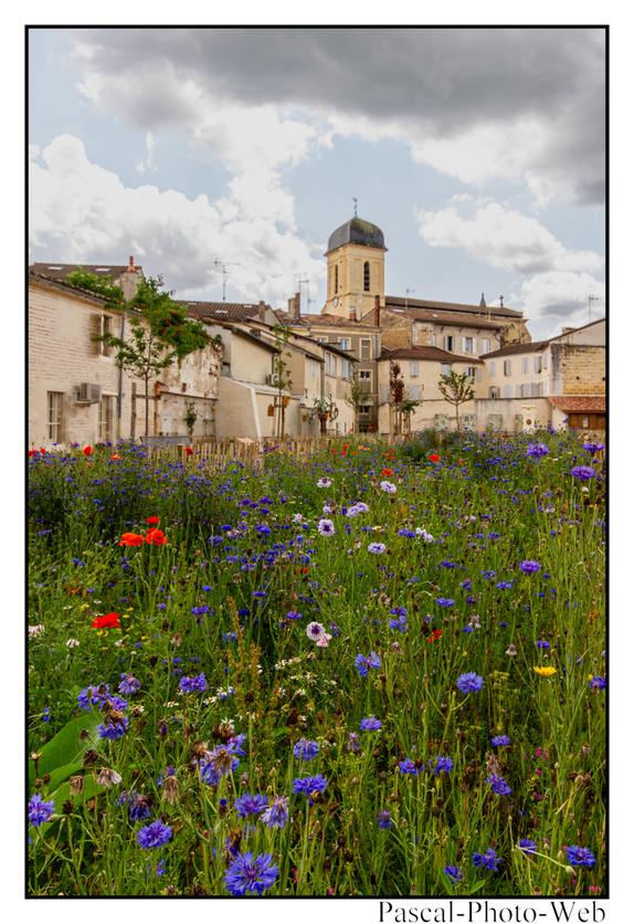#marmande #pascal-photo-web #lot-et-garonne #47 #france #sud #ouest #photo #occitanie #paysage
