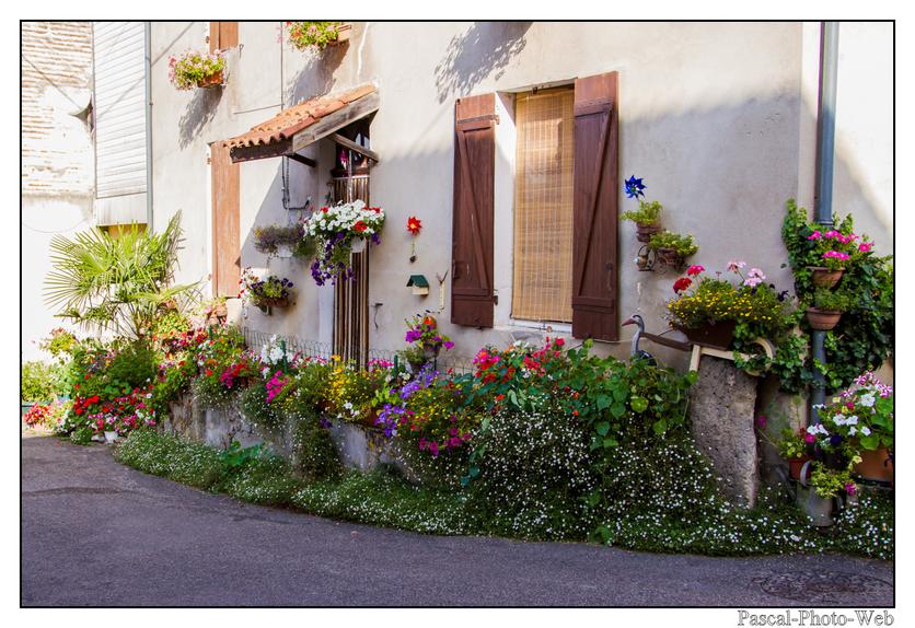 #Pascal-Photo-Web #photo #Occitanie #Tarn-et-garonne #paysage #france #82 #Agen