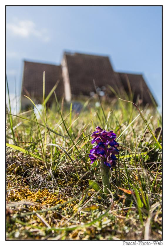 #Pascal-Photo-Web #Pirou #Paysage #Manche #France #Litoral #Baln�aire #plage #Normandie #sable #dune #touristique #mer #village #fant�me#graffiti