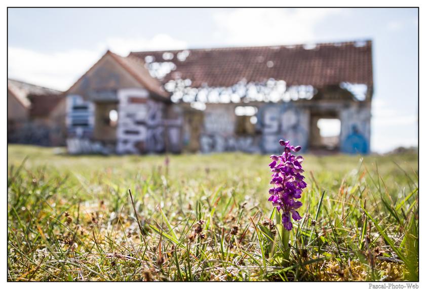 #Pascal-Photo-Web #Pirou #Paysage #Manche #France #Litoral #Baln�aire #plage #Normandie #sable #dune #touristique #mer #village #fant�me#graffiti