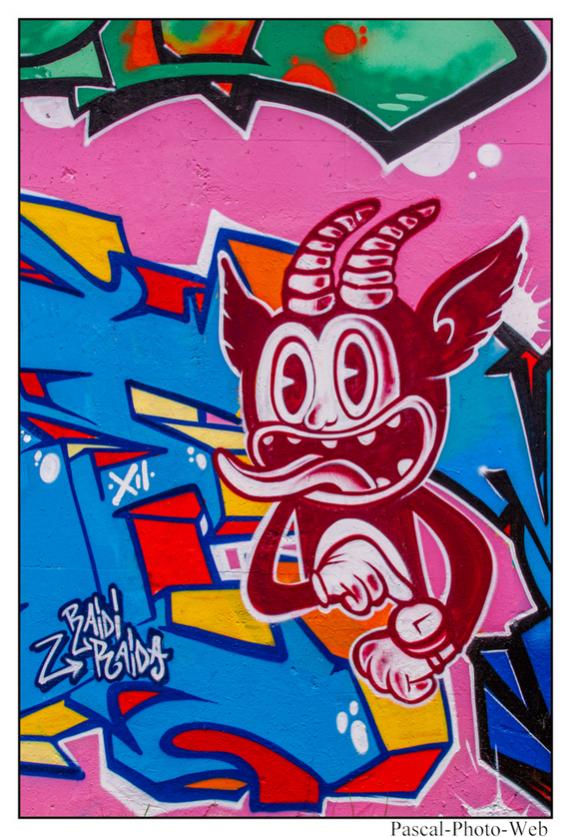 #pascal-photo-web #pyr�n�es-atlantique #pyr�n�es #64 #france #sud #ouest #photo #montagne #paysage #piment #pau